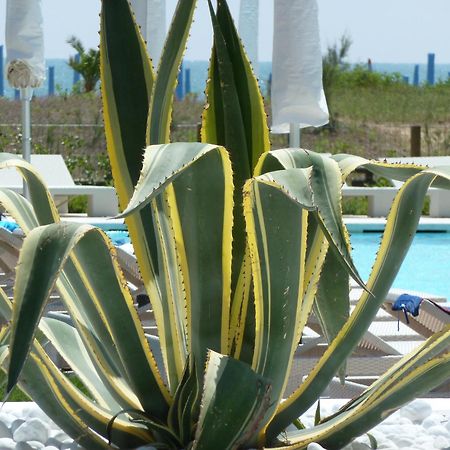 Hotel Mediterraneo Suite&Residence Lido di Jesolo Eksteriør bilde